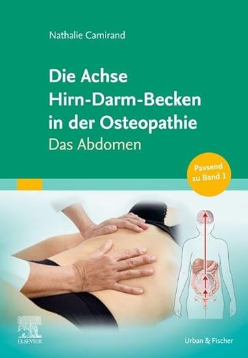 Die Achse Hirn-Darm-Becken in der Osteopathie: Das Gehirn